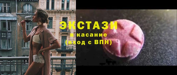 гидра Вязьма