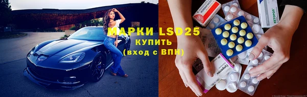 сатива Вяземский