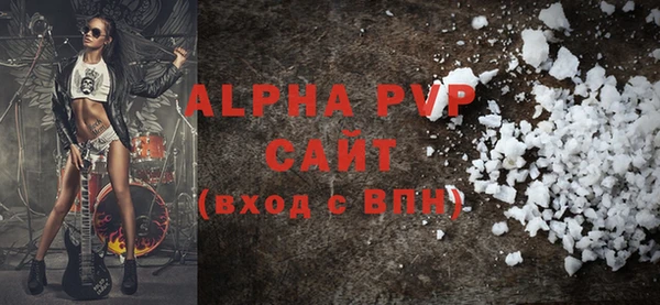 гидра Вязьма