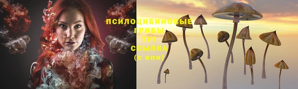 сатива Вяземский