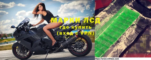сатива Вяземский