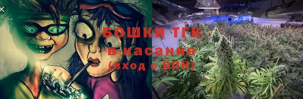 сатива Вяземский