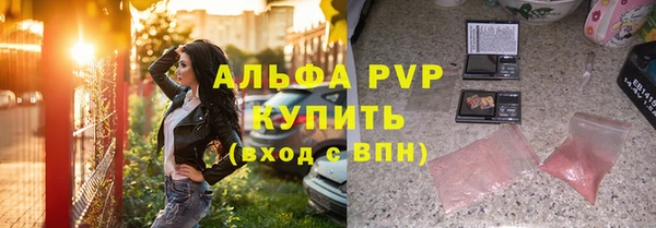 сатива Вяземский