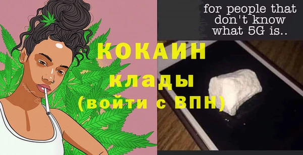 гидра Вязьма