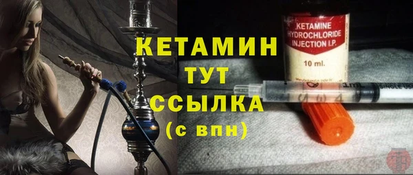 гидра Вязьма