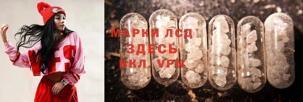 гидра Вязьма