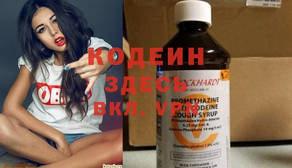 сатива Вяземский