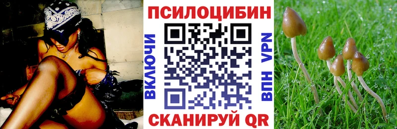 Купить  Амурск  Псилоцибиновые грибы прущие грибы 